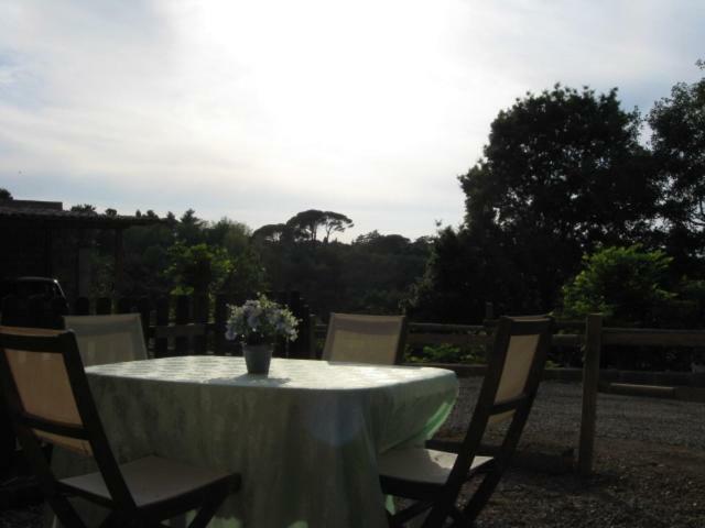 Country house Casolare Toscano *