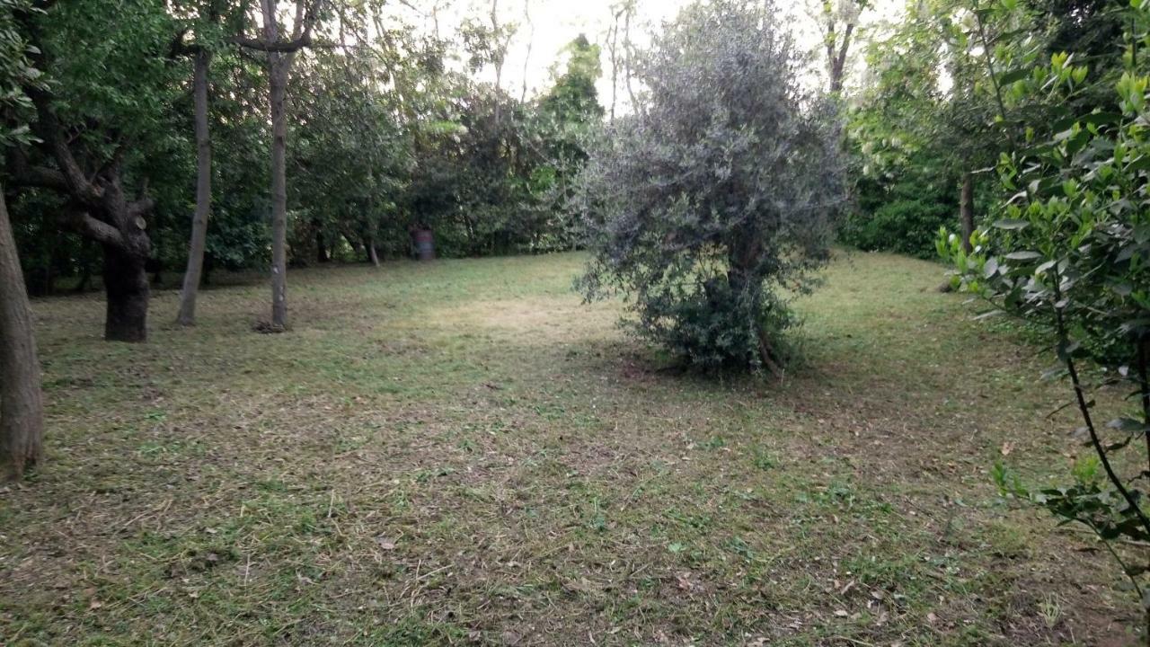 Casolare Toscano Casa rural
