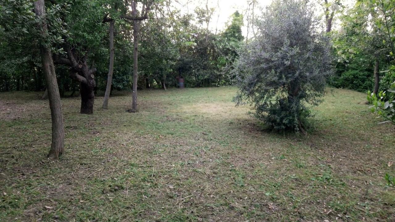 Casa rural Casolare Toscano Lorenzana